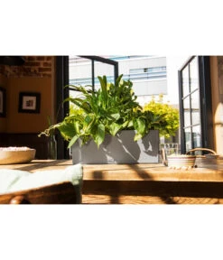 LECHUZA® Kunststoff-Kasten Balconera Stone -Blumen Geschaft 4318606 WE MO 001 LechuzaKunststoffBalkonkastenBalconeraStonePflanzkastenBlumenkasten