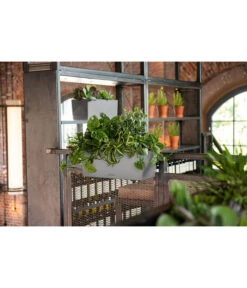 LECHUZA® Kunststoff-Kasten Balconera Stone -Blumen Geschaft 4318606 WE MO 002 LechuzaKunststoffBalkonkastenBalconeraStonePflanzkastenBlumenkasten