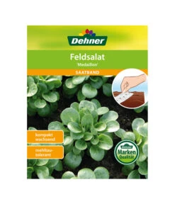 Dehner Samen-Set Easy Going -Blumen Geschaft 4322590 WE FS 005 DehnerSamenSaatgutSaemereienSetEasyGoing
