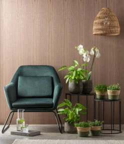 Dehner Seegras-Korb Phil, Rund -Blumen Geschaft 4448270 WE MO 001 TopfEliasCremeKorbGruen 6735229 6914725