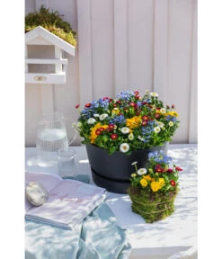 Elho Kunststoff-Schale Greenville, Ca. Ø33/H19,5 Cm -Blumen Geschaft 4474292 WE MO 002 elhoKunststoffSchaleGreenville