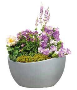 Scheurich Kunststoff-Topf Wave Globe, Rund, Ca. Ø39,3/H21 Cm -Blumen Geschaft 4498150 WE FS 002 ScheurichKunststoffTopfWaveGloberund