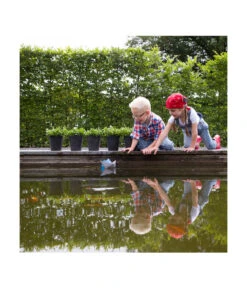 Artstone Kunststoff-Blumentopf Claire, Rund -Blumen Geschaft 5160395 WE MO 002 KunststoffTopfClaireschwarz