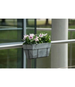 Artstone Kunststoff Blumenkasten Ella 8 Artstone Kunststoff Blumenkasten Ella -Blumen Geschaft 5160486 WE MO 001 KunststoffKastenEllagrau