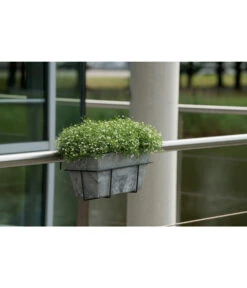 Artstone Kunststoff Blumenkasten Ella 9 Artstone Kunststoff Blumenkasten Ella -Blumen Geschaft 5160486 WE MO 002 KunststoffKastenEllagrau