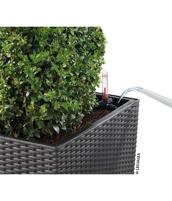 LECHUZA® Kunststoff-Topf Cube Cottage, Quadratisch – Bild 10