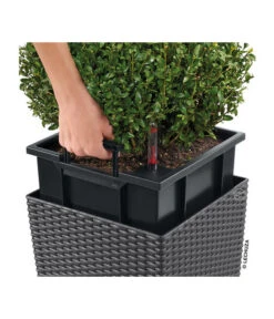 LECHUZA® Kunststoff-Topf Cube Cottage, Quadratisch -Blumen Geschaft 5181169 WE DE 002 LechuzaKunststoffTopfCubeCottage