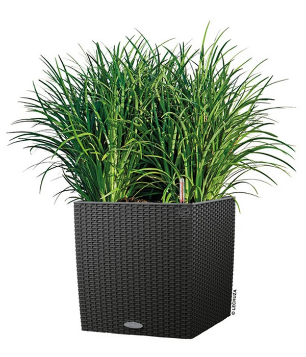 LECHUZA® Kunststoff-Topf Cube Cottage, Quadratisch – Bild 2