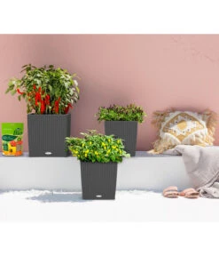 LECHUZA® Kunststoff-Topf Cube Cottage, Quadratisch -Blumen Geschaft 5181169 WE MO 001 LechuzaKunststoffTopfCubeCottage