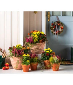 Vasar Kunststoff-Topf Murano -Blumen Geschaft 6138028 WE MO 001 KranzApfel Herbst