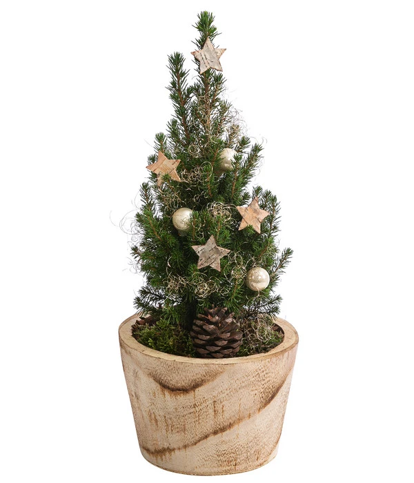 Geschmückter Weihnachtsbaum Loxley 1 Geschmückter Weihnachtsbaum Loxley