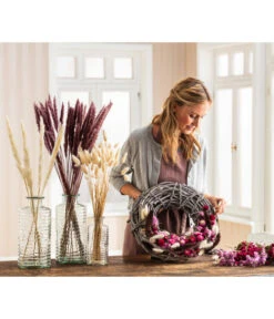 Trockenblumenbund Pampasgras 5 Trockenblumenbund Pampasgras -Blumen Geschaft 6272587 WE MO 001 PampasgrasMauve Hasenschwanzgras