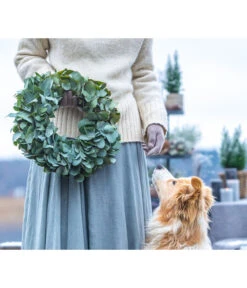 Dehner Kranz Eukalyptus, Grün, Ca. Ø40 Cm -Blumen Geschaft 6279830 WE MO 001 EukalyptusKranz 03
