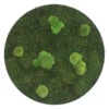 StyleGREEN Bild Aus Wald- Und Kugelmoos, Kreisförmig, Ca. Ø80 Cm