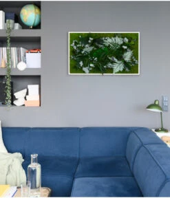 StyleGREEN Bild Im Dschungeldesign, Rechteckig, Ca. B100/H60/T20 Cm -Blumen Geschaft 6429823 WE MO 001 Pflanzenbild100x60cm