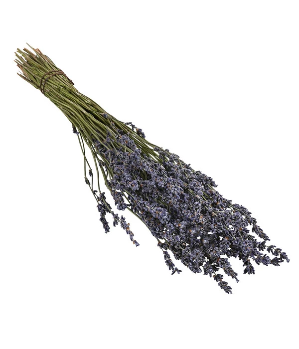 Trockenblumenbund Lavendel 1 Trockenblumenbund Lavendel