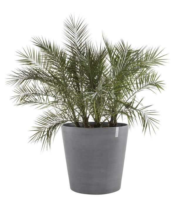 Ecopots Kunststoff-Topf Amsterdam Mit Rollen, Rund 2 Ecopots Kunststoff-Topf Amsterdam Mit Rollen, Rund – Bild 2