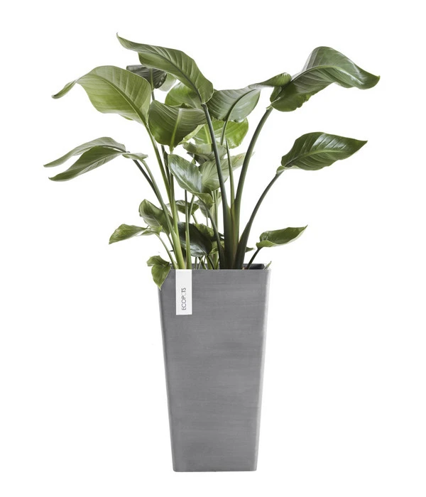 Ecopots Kunststoff-Topf Rotterdam, Quadratisch 2 Ecopots Kunststoff-Topf Rotterdam, Quadratisch – Bild 2