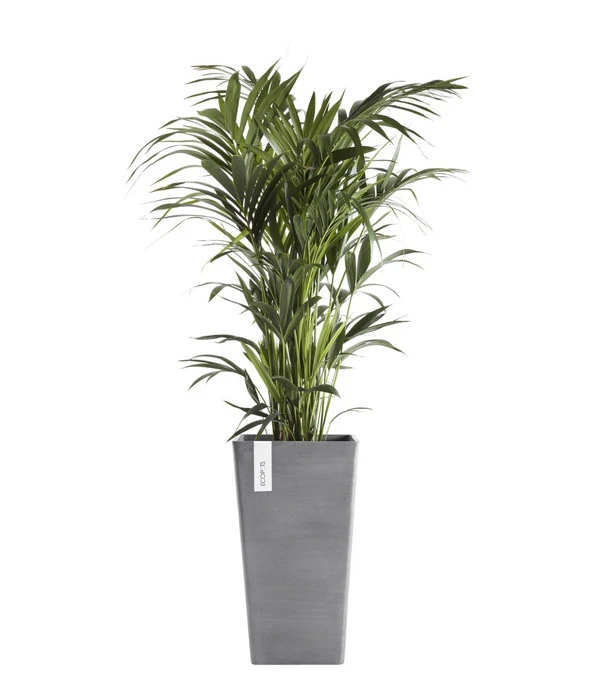 Ecopots Kunststoff-Topf Rotterdam, Quadratisch 3 Ecopots Kunststoff-Topf Rotterdam, Quadratisch – Bild 3