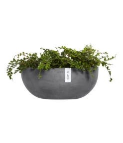 Ecopots Kunststoff-Schale Sofia Wall Mit Wassersystem, Oval, Grau, Ca. B43/H17,5/T25 Cm -Blumen Geschaft 6614515 WE FS 003 EcopotsKunststoffSchaleSofiaWallmitWassersystemovalgrau