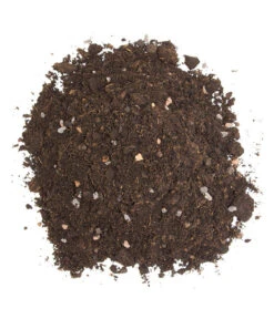 Floragard Zitrus- Und Mediterranpflanzenerde -Blumen Geschaft 6624191 WE DE 002 FloragardZitruspflanzundMediterranpflanzenerde