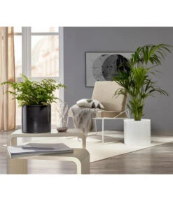 Scheurich Keramik-Übertopf, Rund, Ca. Ø33 Cm -Blumen Geschaft 6642151 PR MO 001 TopfPanna