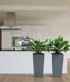 Blumen Geschaft -Blumen Geschaft 6655377 WE MO 001 PflanzgefaessLyonAnthrazit