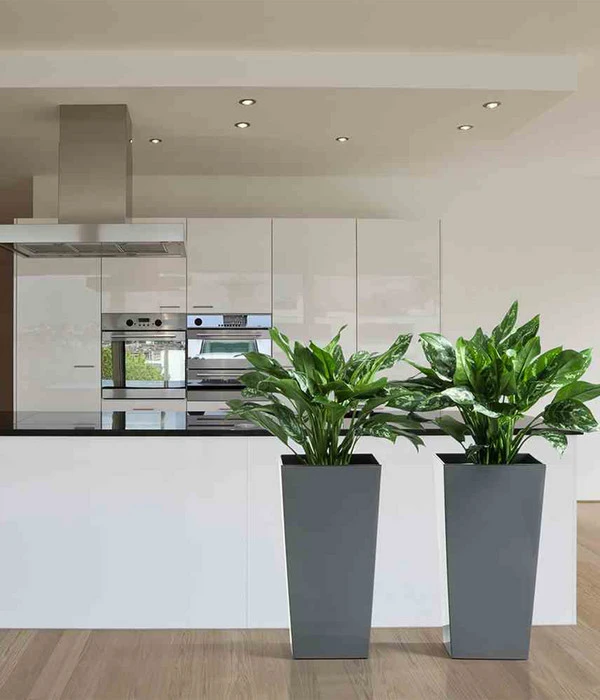 Siena Garden Kunststoff-Topf Lyon, Konisch, Ca. B40/H75/T40 Cm 2 Siena Garden Kunststoff-Topf Lyon, Konisch, Ca. B40/H75/T40 Cm – Bild 2