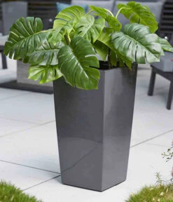 Siena Garden Kunststoff-Topf Lyon, Konisch, Ca. B40/H75/T40 Cm 9 Siena Garden Kunststoff-Topf Lyon, Konisch, Ca. B40/H75/T40 Cm -Blumen Geschaft 6655377 WE MO 002 PflanzgefaessLyonAnthrazit