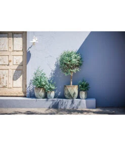 Blumen Geschaft -Blumen Geschaft 6703276 6703284 6703292 6703300 WE MO 001 DehnerKeramikTopfRombus