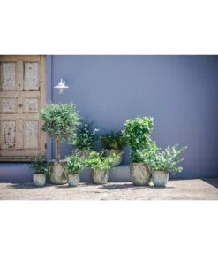 Dehner Keramik-Topf Rombus -Blumen Geschaft 6703276 6703284 6703292 6703300 WE MO 002 DehnerKeramikTopfRombus