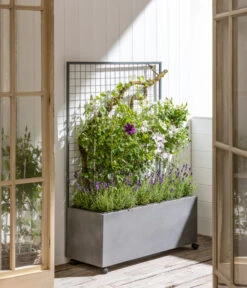 Dehner Leichtbeton-Kasten Mit Spalier Und Rollen, Ca. B100/H142/T37 Cm, Grau -Blumen Geschaft 6728448 WE MO 001 DehnerLeichtbetonKastenmitSpalier