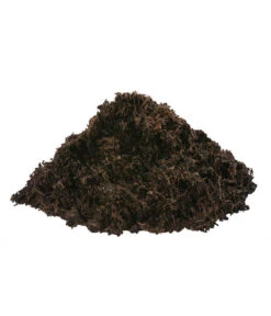 Dehner Green Nature Universal-Erde, 48 X 40 Liter -Blumen Geschaft 6759815 WE DE 002 DehnerGreenNatureUniversalErde18l 1