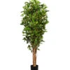 Gasper Kunstpflanze Ficus Benjamini, Ca. H150 Cm