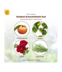 Solabiol® Schachtelhalm Sud, 1 L -Blumen Geschaft 6938187 WE DE 003 SolabiolSchachtelhalmSud
