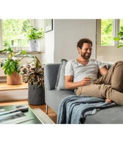 LECHUZA® TRENDCOVER Cork, All-in-One Set -Blumen Geschaft 6946891 6946933 6947097 6947139 WE MO 001 Trendcover