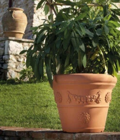 Farmet New Kunststoff-Topf Festonato, Rund, Terrakotta, Inkl. Untersetzer 6 Farmet New Kunststoff-Topf Festonato, Rund, Terrakotta, Inkl. Untersetzer -Blumen Geschaft 6965198 WE MO 001 FarmetNewKunststoffBlumentopfFestonatorundterrakotta