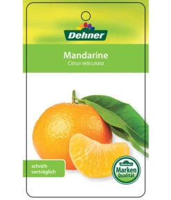 Mandarine -Blumen Geschaft 7120306 Mandarine Etikett 1