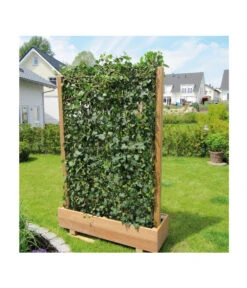 Hecke Am Laufenden Meter® 'Woerneri' - Efeu, Ca. 100 Cm -Blumen Geschaft 7208309 BildM 004 HedereHelixWoerneriHeckeAmLaufendenMeterHelix