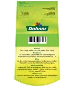 Fiederspiere 'Sem' -Blumen Geschaft 7473861 SorbariaSorbifoliaSem Etikett2