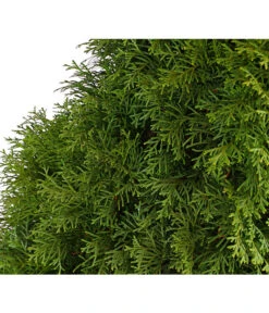 31 Meter Lebensbaum 'Smaragd', 125 X Ca. 40-60 Cm -Blumen Geschaft 7513534 WE DE 001 ThujaLebensbaumOccidentalisSmaragd20LDehnerExpressHerzig 2