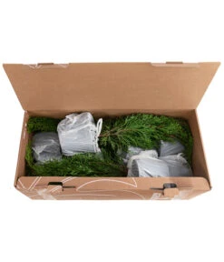 1 Meter Lebensbaum 'Smaragd', 4 X Ca. 60-70 Cm 5 1 Meter Lebensbaum 'Smaragd', 4 X Ca. 60-70 Cm -Blumen Geschaft 7515711 PR FS 002 ThujaSmaragd1MeterDehnerExpressHerzig