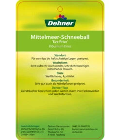 Mittelmeer-Schneeball, Stämmchen -Blumen Geschaft 7539406 Mittelmeer SchneeballEvePrice Etikett 2
