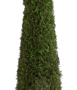 XXL Lebensbaum 'Smaragd' Torwächter -Blumen Geschaft 7548118 WE DE 001 ThujaLebensbaumTorwaechterH140