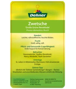 Dehner Reneklode 'Große Grüne Reneklode' -Blumen Geschaft 7657802 ReneklodeGrosseGrueneReneklode Etikett 2