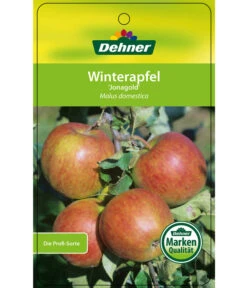 Winterapfel 'Jonagold' -Blumen Geschaft 7691645 WinterapfelJonagold Etikett 1