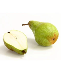 Winterbirne 'Novembra' -Blumen Geschaft 7723695 WE DE 004 BirneNovemberDehnerExpressHerzig