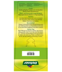 Tafeltraube 'Phönix' -Blumen Geschaft 7729072 TafeltraubePhoenix Etikett2