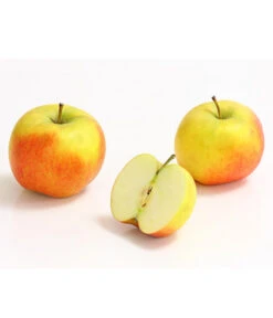 Säulenapfel 'Rondo' -Blumen Geschaft 7744873 WE DE 002 ApfelRondoDehnerExpressHerzig