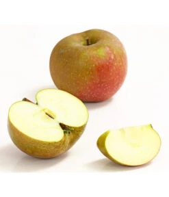 Winterapfel 'Roter Boskoop' -Blumen Geschaft 7745409 WE DE 002 ApfelBoskoopDehnerExpressHerzig